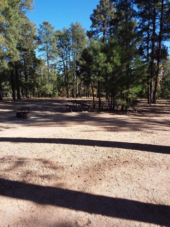 View of Black Canyon Rim Campsite 7: showing picnic table, fire pit.Black Canyon Rim CG S7