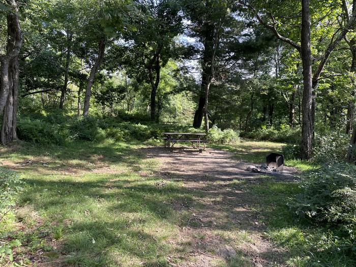 A photo of Site D128 of Loop D Loop at Loft Mountain Campground with Picnic Table, Fire Pit