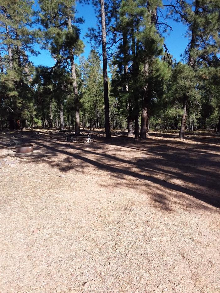 View of Black Canyon Rim Campsite 8: showing picnic table, fire pit.Black Canyon Rim CG S8