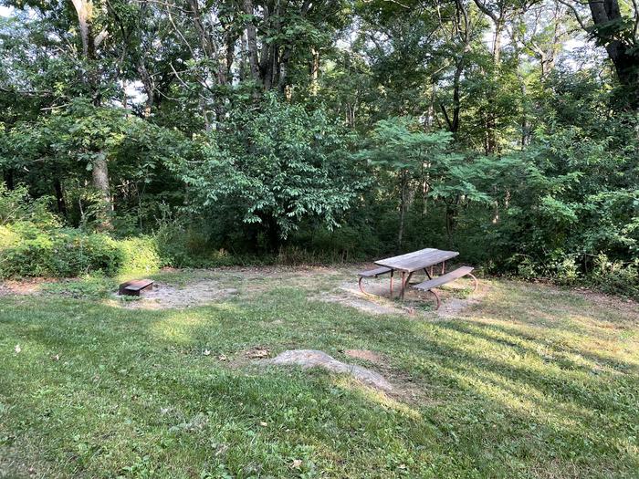 A photo of Site G181 at Loft Mountain Campground with Picnic Table, Fire Pit