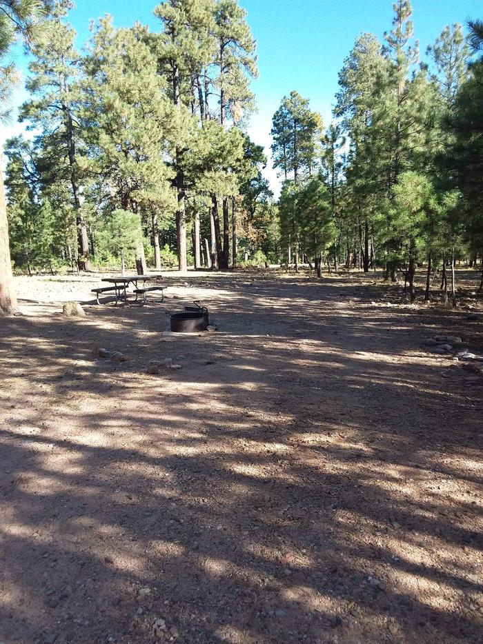 View of Black Canyon Rim Campsite 6: showing picnic table, fire pit.Black Canyon Rim CG Site 9