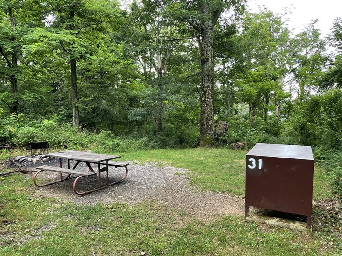 A photo of Site 031 of Loop Lower Loop at Loft Mountain Campground with Picnic Table, Fire Pit, Food Storage