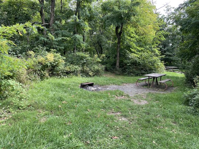 A photo of Site E152 of Loop E Loop at Loft Mountain Campground with Picnic Table, Fire Pit