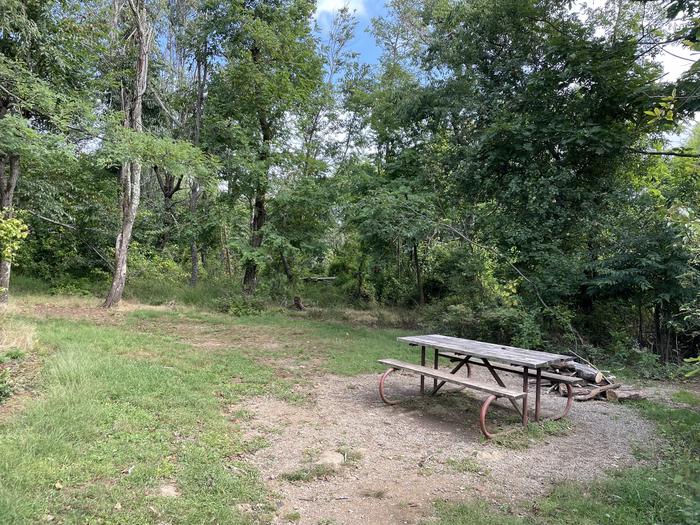 A photo of Site G205 of Loop G Loop at Loft Mountain Campground with Picnic Table, Fire Pit
