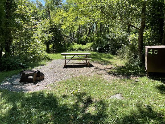 A photo of Site 040 of Loop Lower Loop at Loft Mountain Campground with Picnic Table, Fire Pit, Food Storage