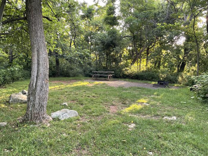 A photo of Site E144 of Loop E Loop at Loft Mountain Campground with Picnic Table, Fire Pit