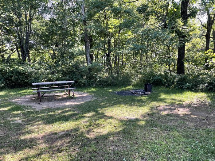 A photo of Site D130 of Loop D Loop at Loft Mountain Campground with Picnic Table, Fire Pit