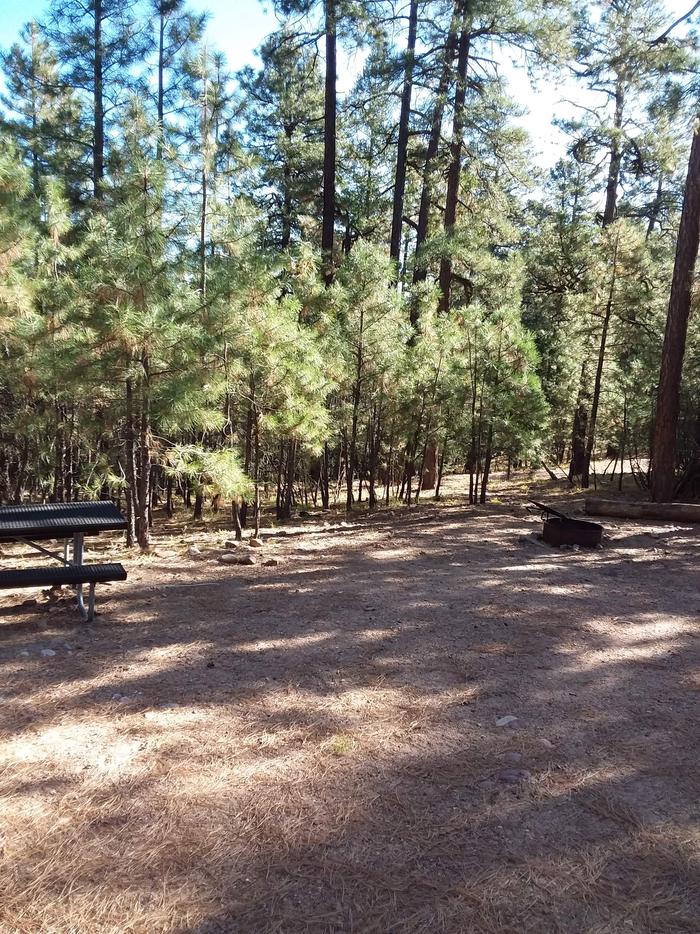 View of Black Canyon Rim Campsite 13: showing picnic table, open fire pit, and sitting log.Black Canyon Rim CG S13