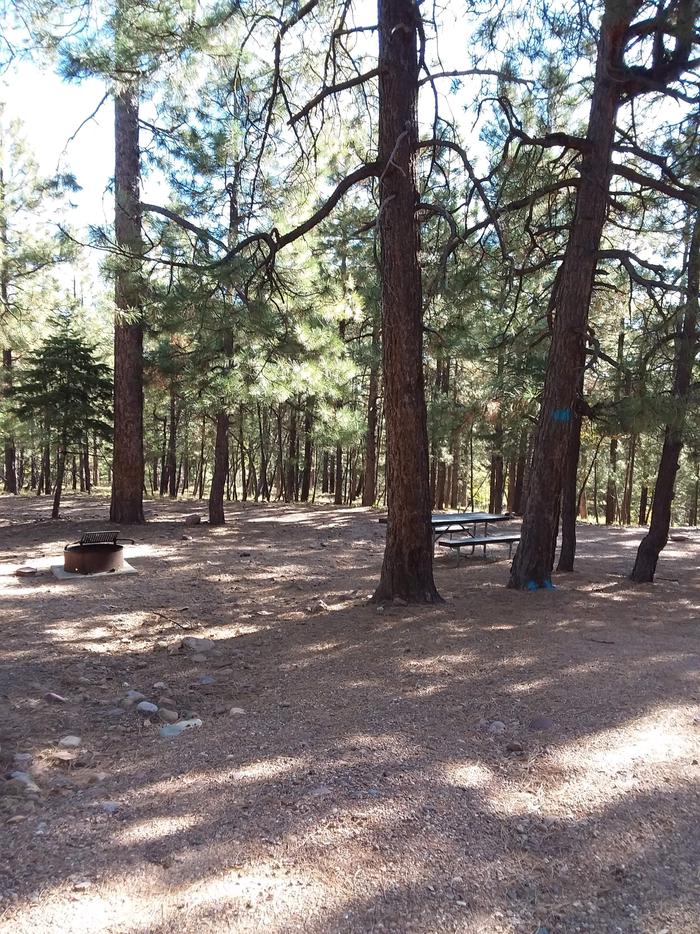 View of Black Canyon Rim Campsite 14: showing picnic table, open fire pit.Black Canyon Rim CG S14