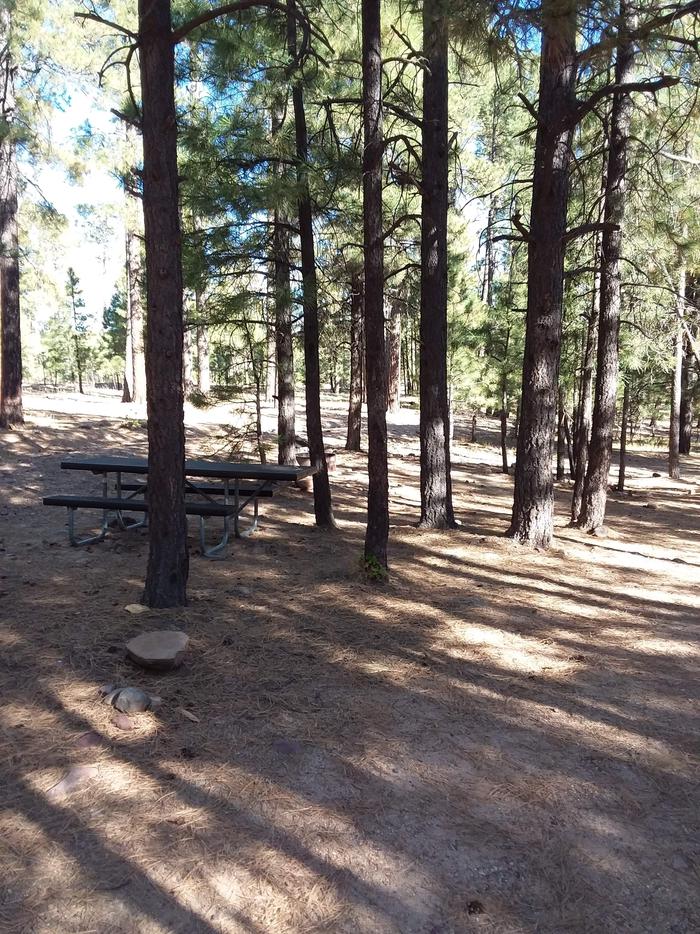View of Black Canyon Rim Campsite 15: showing picnic table, partial view of fire pit.Black Canyon Rim CG Site 15