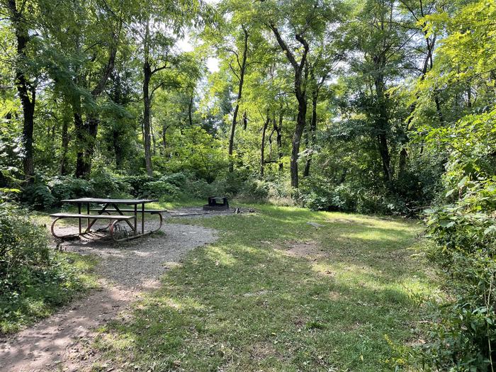 A photo of Site E141 of Loop E Loop at Loft Mountain Campground with Picnic Table, Fire Pit