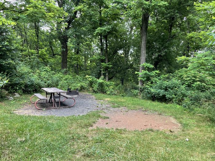 A photo of Site 030 of Loop Lower Loop at Loft Mountain Campground with Picnic Table, Fire Pit