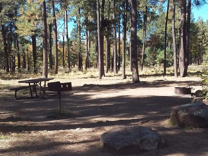 Site 7 with table and grill, with space between the campfire ring in front of trees.Campsite 7 with grill, table, and Campfire ring. 