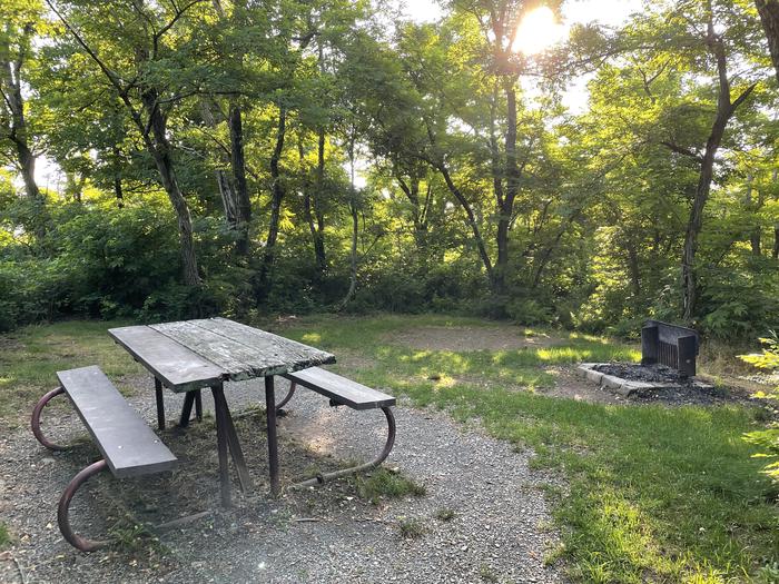 A photo of Site F167 of Loop F Loop at Loft Mountain Campground with Picnic Table, Fire Pit