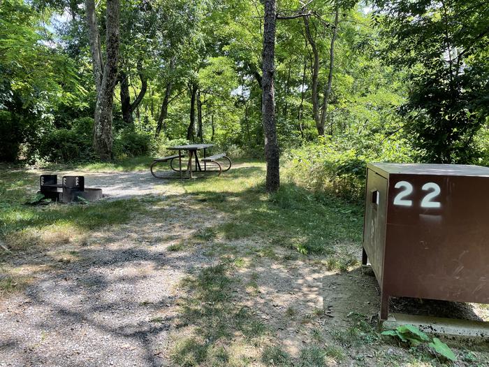 A photo of Site 022 of Loop Lower Loop at Loft Mountain Campground with Picnic Table, Fire Pit, Food Storage
