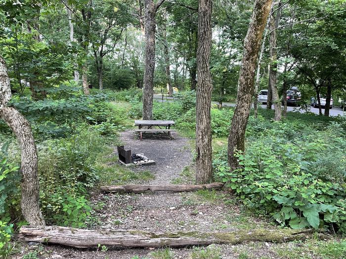 A photo of Site D108 of Loop D Loop at Loft Mountain Campground with Picnic Table, Fire Pit