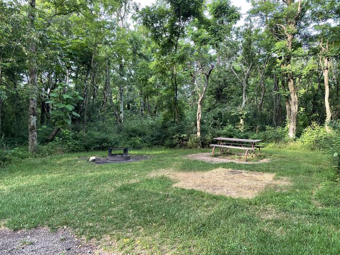 A photo of Site D121 of Loop D Loop at Loft Mountain Campground with Picnic Table, Fire Pit