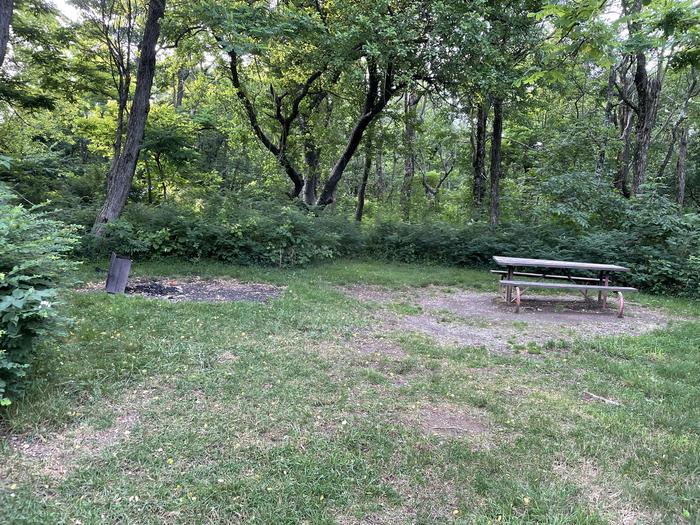 A photo of Site D110 of Loop D Loop at Loft Mountain Campground with Picnic Table, Fire Pit