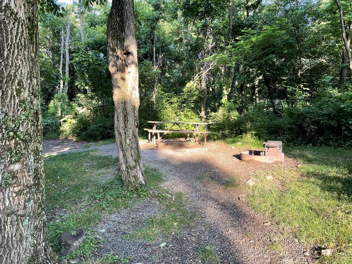 A photo of Site F168 of Loop F Loop at Loft Mountain Campground with Picnic Table, Fire Pit