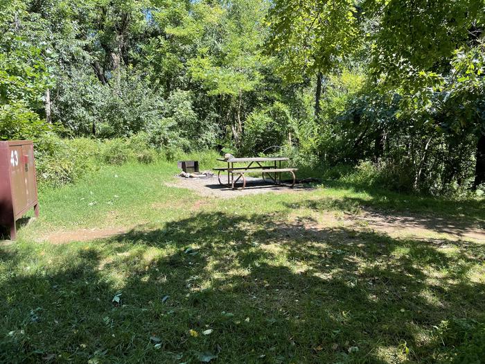 A photo of Site 043 of Loop Lower Loop at Loft Mountain Campground with Picnic Table, Fire Pit, Food Storage