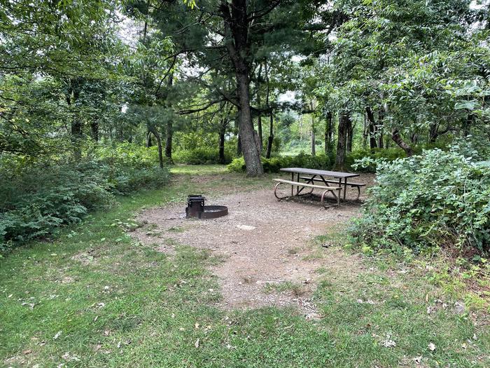 A photo of Site E151 of Loop E Loop at Loft Mountain Campground with Picnic Table, Fire Pit