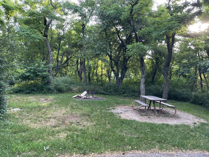A photo of Site D122 of Loop D Loop at Loft Mountain Campground with Picnic Table, Fire Pit