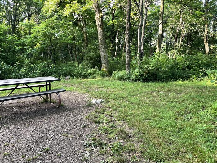 A photo of Site A070 of Loop A Loop at Loft Mountain Campground with Picnic Table