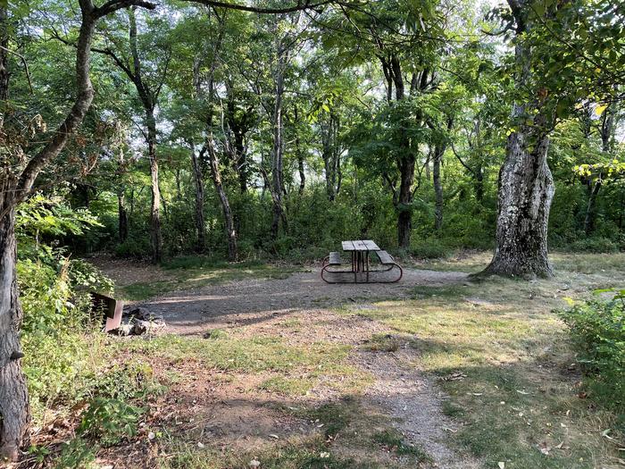 A photo of Site G190 of Loop G Loop at Loft Mountain Campground with Picnic Table, Fire Pit
