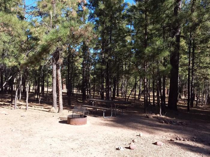 View of Black Canyon Rim Campground Site 16: showing open fire pit and picnic tableBlack Canyon Rim CG S16