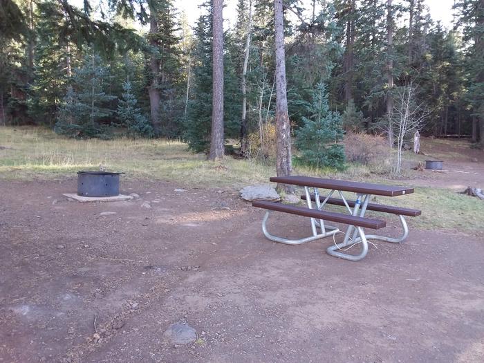 Site 9 with picnic table, fire ring, and shaded by surrounding forest