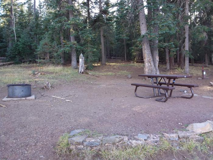 Site 10 with picnic table, fire ring, and shaded by surrounding forest