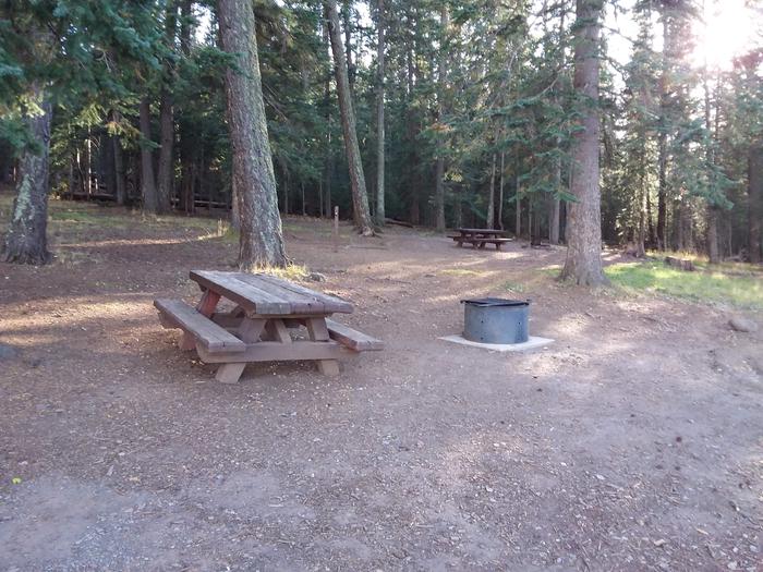 Site 11 with picnic table, fire ring, and shaded by surrounding forest