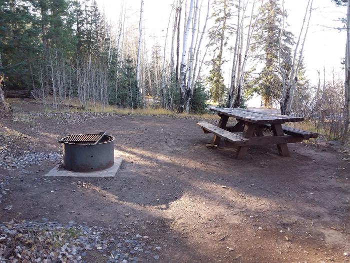 Site 12 with picnic table, fire ring, and partially shaded by surrounding forest