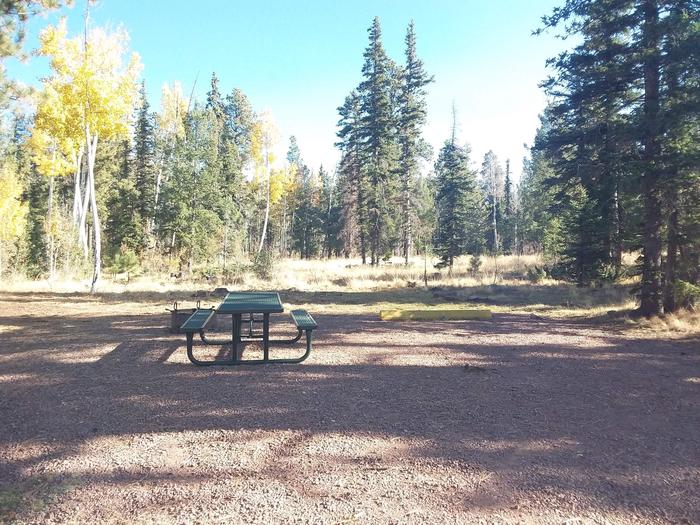 Site 17 with a picnic table, campfire ring, and parking spot.
