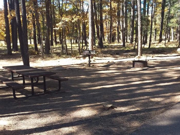 Site 9 with picnic table, grill, and campfire ring in front of tree-line.Campsite 9 has a Campfire ring, grill, and table. 