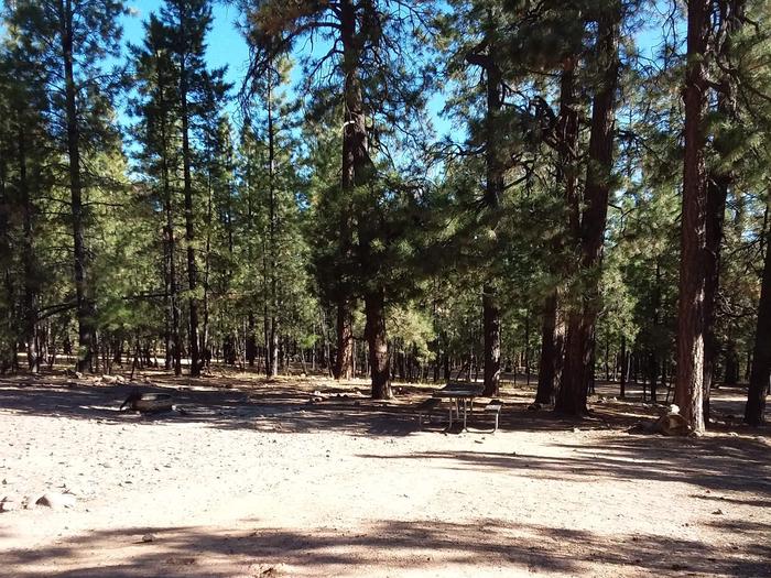 View of Black Canyon Rim Campsite 17: showing picnic table, fire pit.Black Canyon Rim CG S17