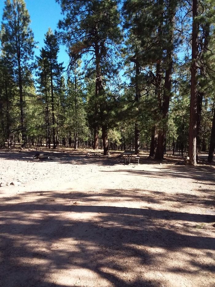 View of Black Canyon Rim Campsite 17: showing picnic table, fire pit.Black Canyon Rim CG S17