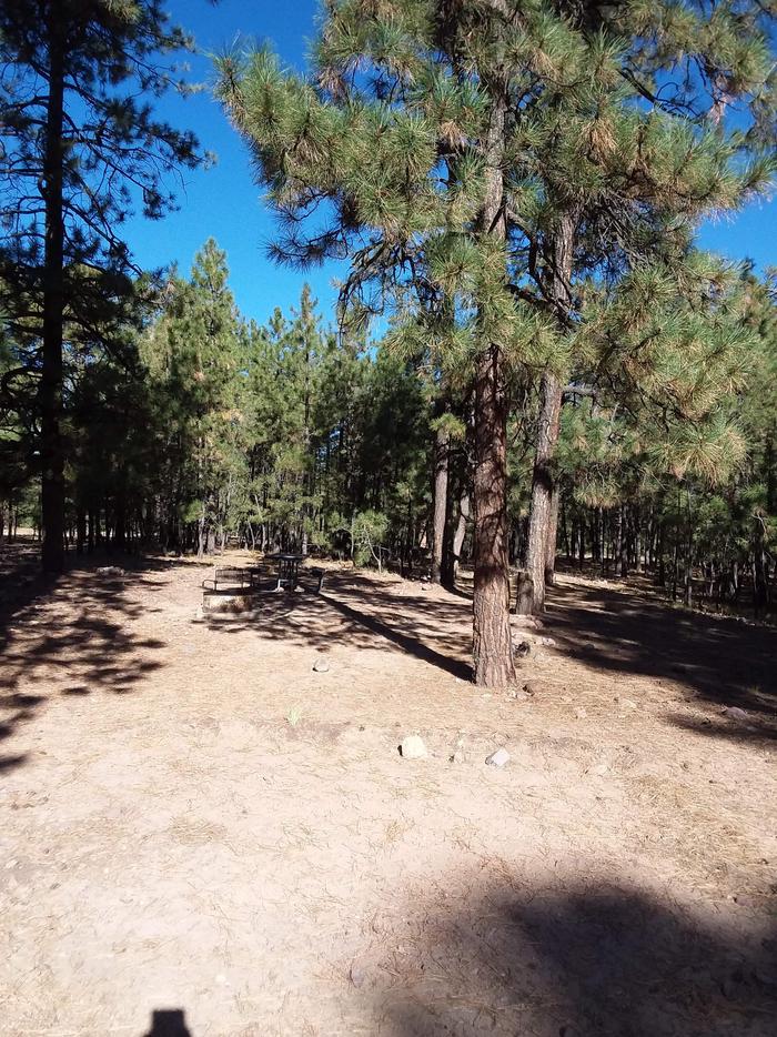 View of Black Canyon Rim Campsite 17: showing picnic table, fire pit.Black Canyon Rim CG S18