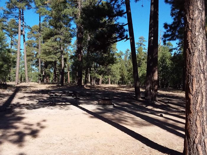 View of Black Canyon Rim Campsite 19: showing picnic table, fire pit.Black Canyon Rim CG S19