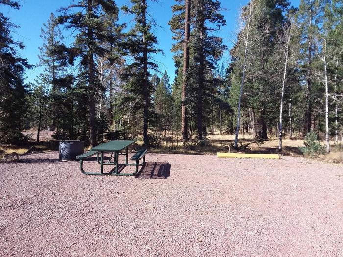 Site 30 with parking space, picnic table, and fire ring.