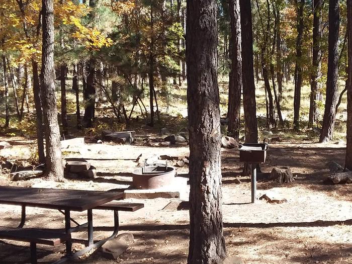 Site 13 with a picnic table, campfire ring, and grill along with many trees. Campsite 13 has an area with a grill, campfire, and table.