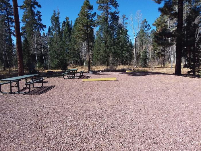 Site 31 & 32 with picnic tables, campfire rings, and parking.