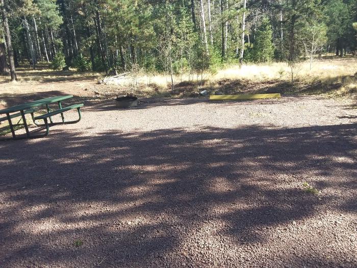 Site 37 with picnic table, campfire ring, and parking spot.