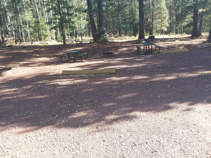 Site 39 & 40 with campfire rings, parking spaces, and picnic tables.