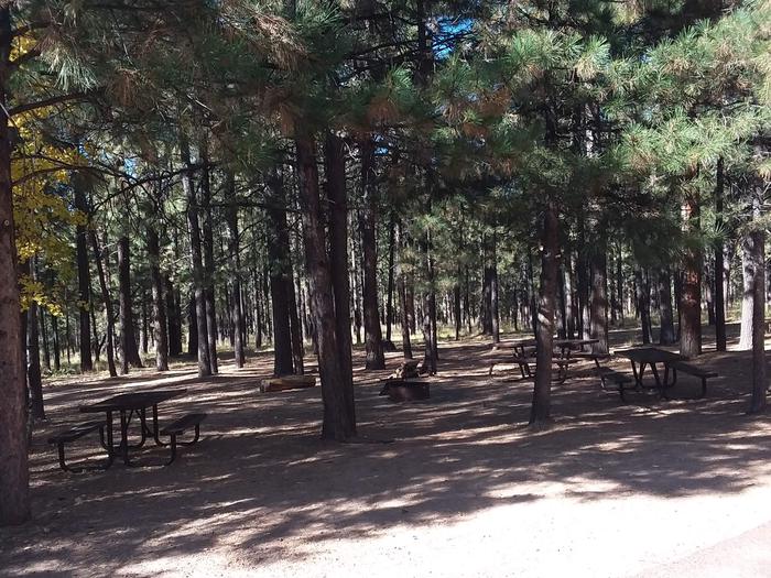 Site 1 with picnic table, fire ring, and shaded by surrounding forest