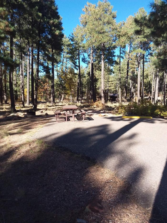 View of Crook Campground Site 2: shows fire pit and picnic tableCrook Campground Site 2 Loop A