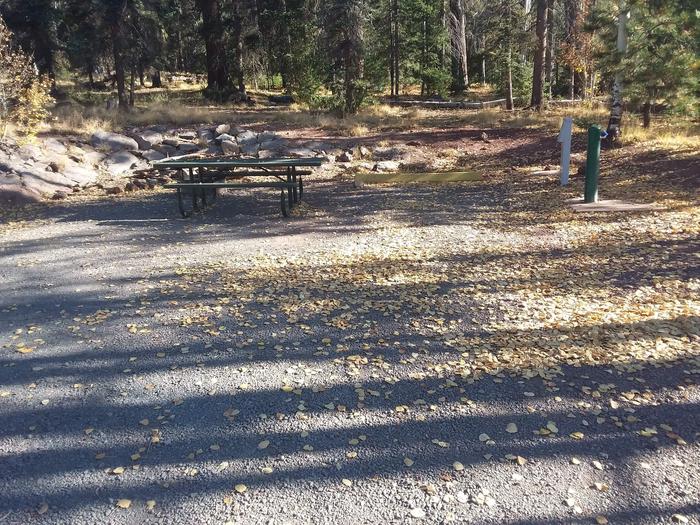 Site 46 with a campfire ring, picnic table, water and electricity hookups, and parking.