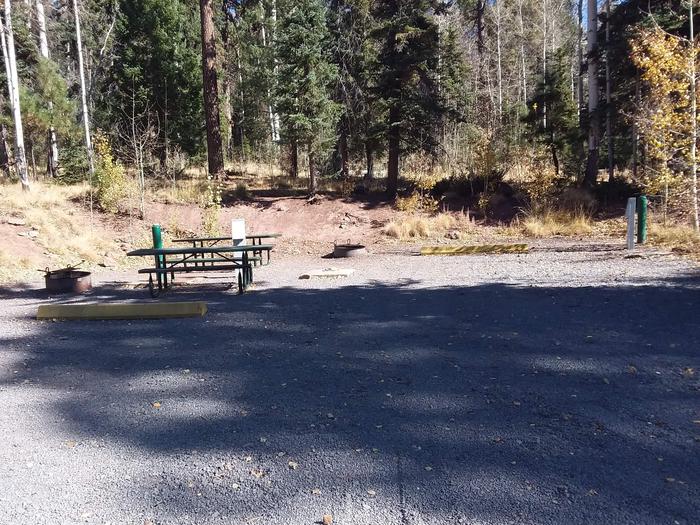 Site 49 & 50 with water and electric hookups, parking, picnic tables, and fire rings.