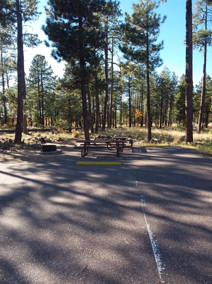 Crook Campground Sites 5 & 6: shows two picnic tables and a fire pit.Crook Campground Sites 5 and 6 Loop A