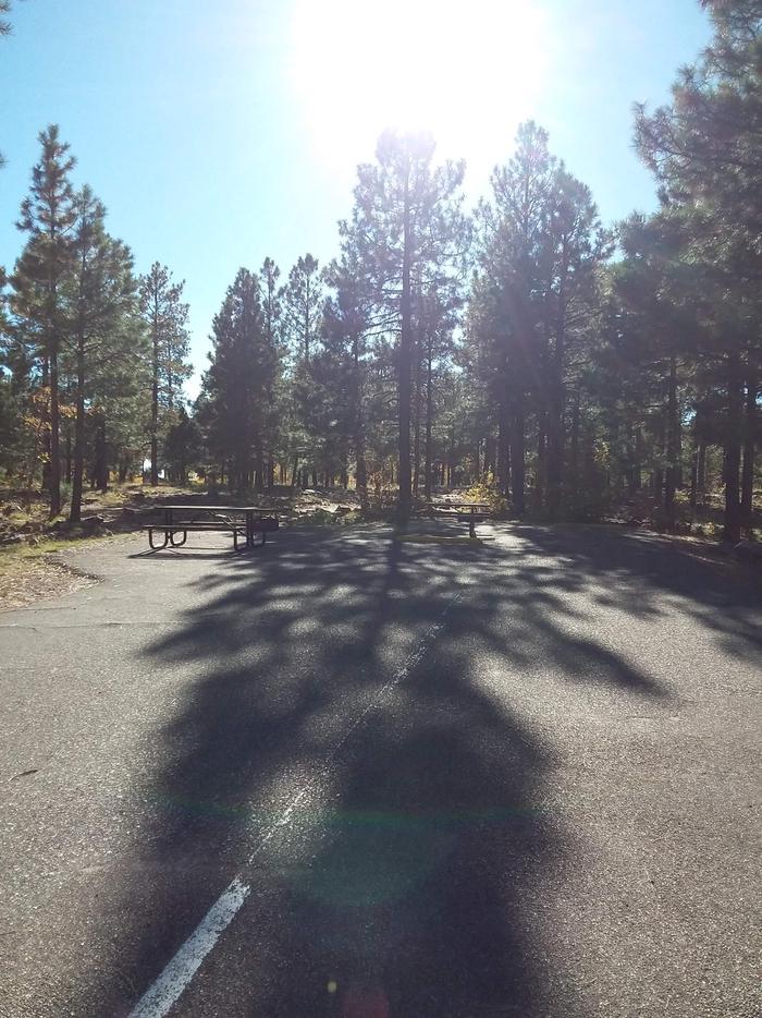 View of Crook Campground Sites 7 & 8: shows two picnic tables and two fire pitsCrook Campground Sites 7 and 8 Loop A